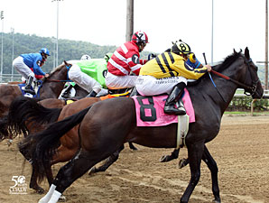Maybe So wins the 2012 Mountaineer Juvenile.