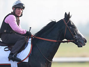 Meandre - Dubai March 25, 2013
