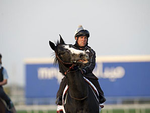 Meandre - Dubai March 27, 2013