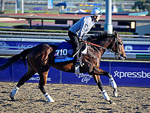 Medal Count - Breeders Cup, Santa Anital 2013