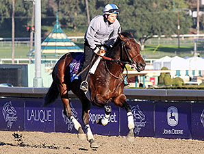 Medal Count - Breeders Cup, Santa Anita 2013