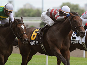 Mekong Melody wins the 2010 Dance Smartly Stakes.