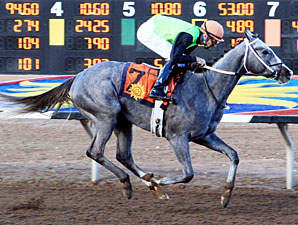 Melody Lady wins the 2013 El Paso Times Handicap.