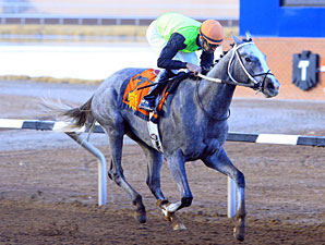 Melody Lady wins the 2013 El Paso Times Handicap.