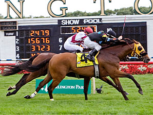 Memorial Maniac wins the 2010 Stars and Stripes.