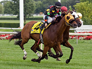 Memorial Maniac wins the 2010 Stars and Stripes.