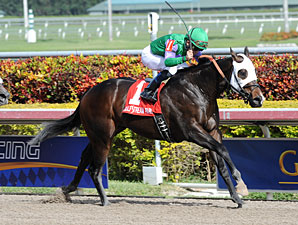 Merit Man wins the 2013 Spectacular Bid.