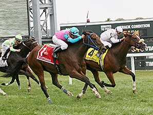 Merry's Honor wins the 2014 Marshall Jenney Handicap.