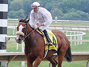 Merry's Honor wins the 2014 Marshall Jenney Handicap.