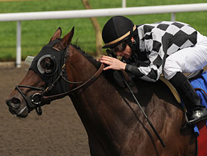 Mesa Cielo wins the 2010 Elgin Stakes.