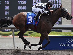 Mesa Cielo wins the 2010 Elgin Stakes.