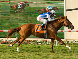 Meteore Rises to the Top in La Jolla Handicap