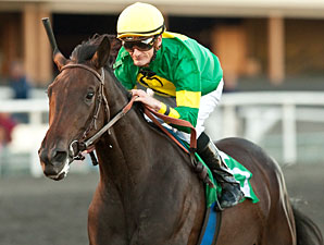 Midnight Ballet wins the Sharp Cat Stakes.