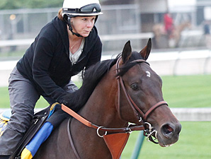 Midnight Interlude jogs at Churchill Downs.