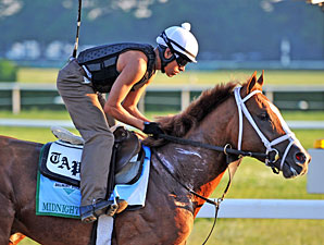 Midnight Taboo - Belmont Park, June 1, 2013.