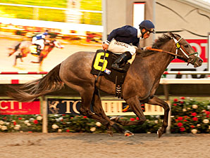 Mighty Caroline wins the 2011 Sorrento.