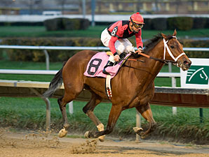 Mighty Rule wins the 2009 Lightning Jet.