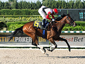 Milam wins the 2014 Pica Slew Stakes.