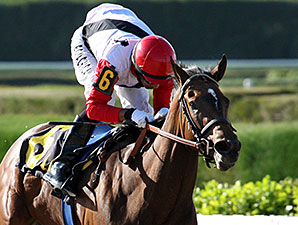 Milam wins the 2014 Pica Slew Stakes.