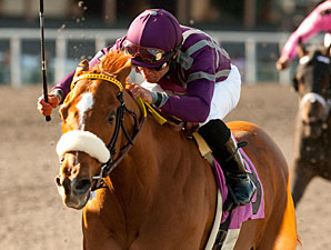 Miles Rules in the 2011 Melair Stakes.