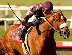 Miles Rules in the 2011 Melair Stakes.