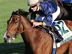 Mimi's Bling wins the 2010 Buffalo Trace Franklin County.