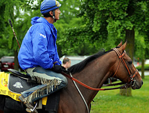 Mine That Bird's Jockey Situation Unresolved