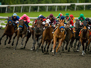 Misremembered wins the 2010 Santa Anita Handicap.