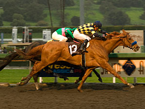 Misremembered wins the 2010 Santa Anita Handicap.
