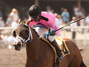 Miss Empire wins the 2012 Cinderella Stakes.