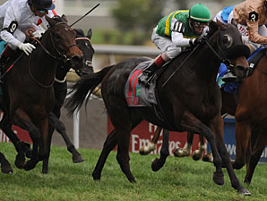 Miss Keller wins the 2011 E. P. Taylor.
