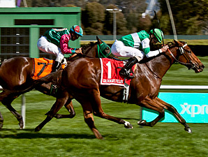 Miss Machiavelli wins the 2013 Pike Place Dancer Stakes.