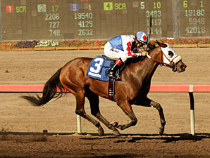 Miss Scatalicious wins the 2013 Phil D. Shepherd Stakes.
