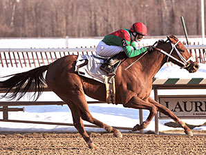 Miss Singhsix ridden by Luis Garcia wins the $70,000 Maryland Racing Media Stakes for fillies and mares at Laurel Park in Maryland on Saturday, Feb. 20, 2010. 