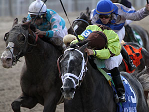 Mission Impazible wins the New Orleans Handicap.