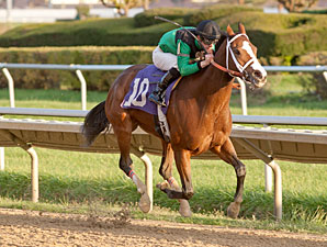 Missjeanlouise wins the 2012 Powerless Handicap.