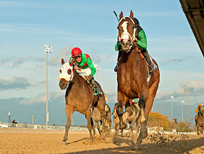 Missjeanlouise wins the 2012 Powerless Handicap.