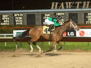 Missjeanlouise wins the 2013 Powerless Handicap.