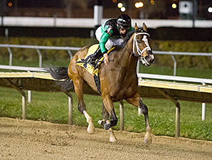 Missjeanlouise wins the 2013 Powerless Handicap.