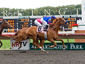 Mister Marti Gras wins the 2011 Washington Park