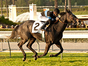 Mizdirection wins the Buena Vista Stakes.