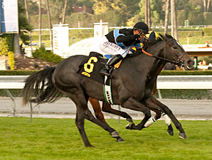 Mizdirection wins the Monrovia Stakes.