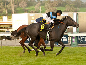 Mizdirection wins the Monrovia Stakes.