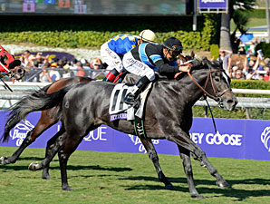 Mizdirection wins the 2012 Breeders' Cup Turf Sprint. 