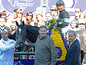 Mizdirection wins the 2012 Breeders' Cup Turf Sprint.