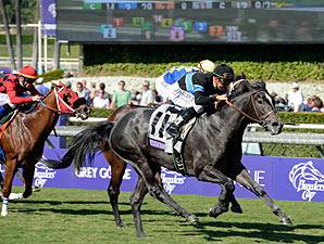 Mizdirection wins the 2012 Breeders' Cup Turf Sprint.