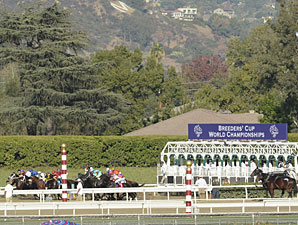Mizdirection wins the 2012 Breeders' Cup Turf Sprint.