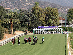 Mizdirection wins the 2012 Breeders' Cup Turf Sprint.