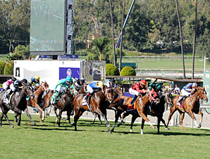 Mizdirection wins the 2012 Breeders' Cup Turf Sprint.