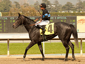 Mizdirection wins the 2012 Clocker's Corner.